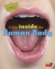 Day_inside_the_human_body