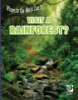 Where_in_the_world_can_I_____visit_a_rainforest_