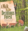 A_walk_in_the_deciduous_forest