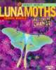 Luna_moths