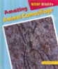 Amazing_animal_camouflage