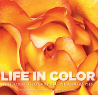 Life_in_color