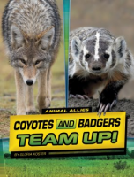 Coyotes_and_badgers_team_up_
